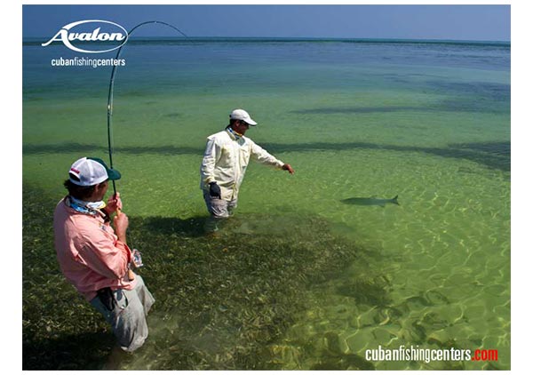 Fly fishing